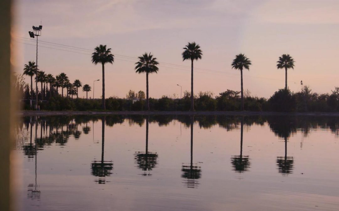 Stray Docks | Kinospot